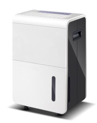 1568959043972357.jpg 1.jpg